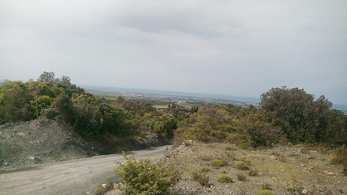 foto anello ortacavoli