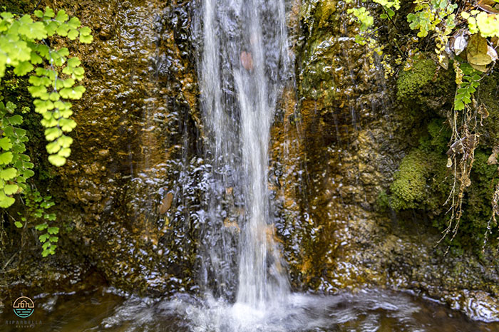 foto cascata Giardino