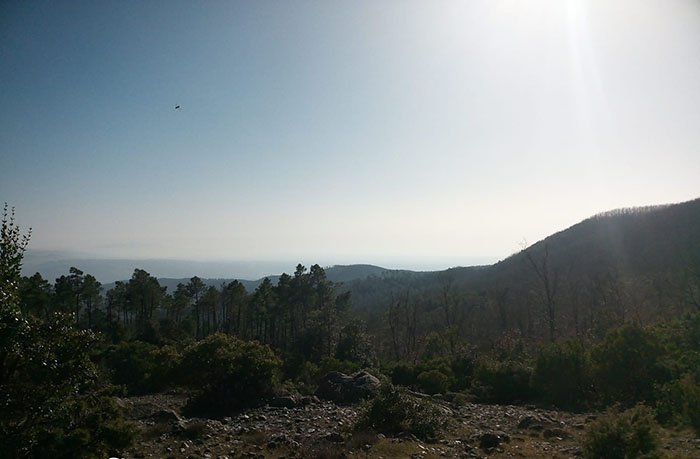 foto panorama da parco eolico